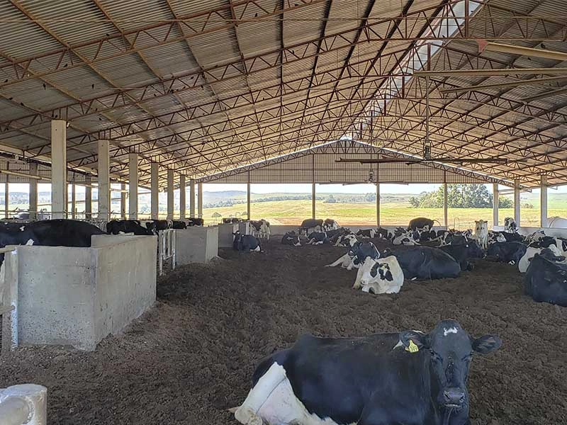 AS Projetos e Pré Moldados